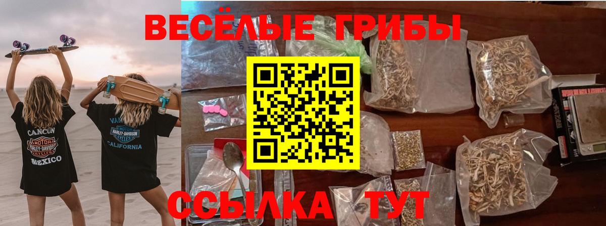 Галлюциногенные грибы Psilocybe  Галлюциногенные грибы мицелий  Сочи  Вход с VPN 