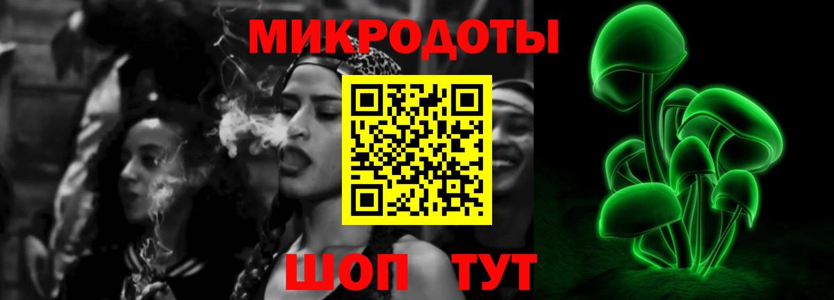 Галлюциногенные грибы прущие грибы Сочи